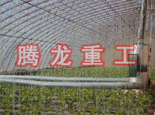 大棚花卉供暖設(shè)備、大棚卉采暖設(shè)備、大棚花卉取暖設(shè)備