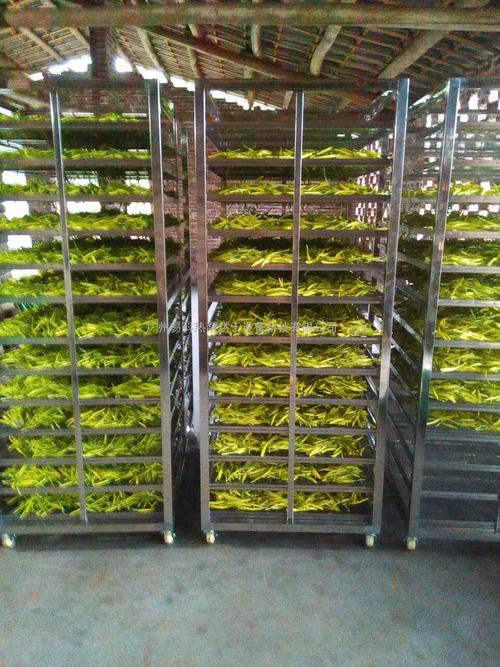 黃花菜烘干機、黃花菜烘干設(shè)備、黃花菜干燥機、黃花菜干燥設(shè)備、